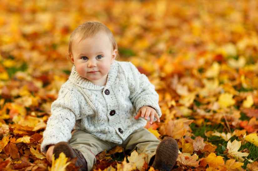 autumn-fall-baby-boy-child-59865.jpeg